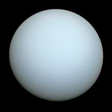 Uranus and its moons observed with a Seestar S50