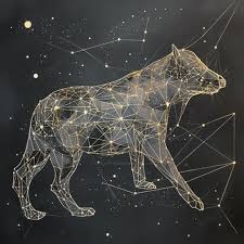 Stars and constellations visible across the night sky