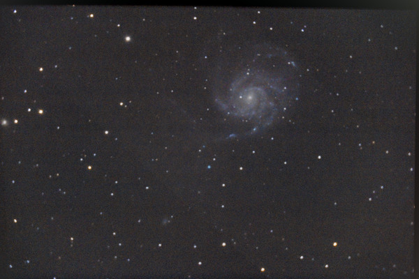 M101 Pinwheel Galaxy observed through our telescope